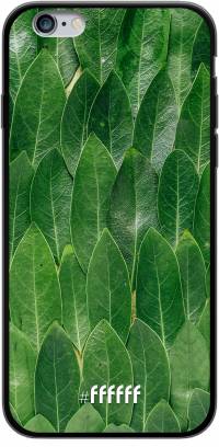 Green Scales iPhone 6