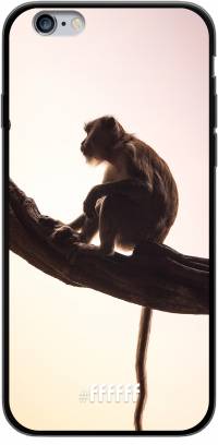 Macaque iPhone 6