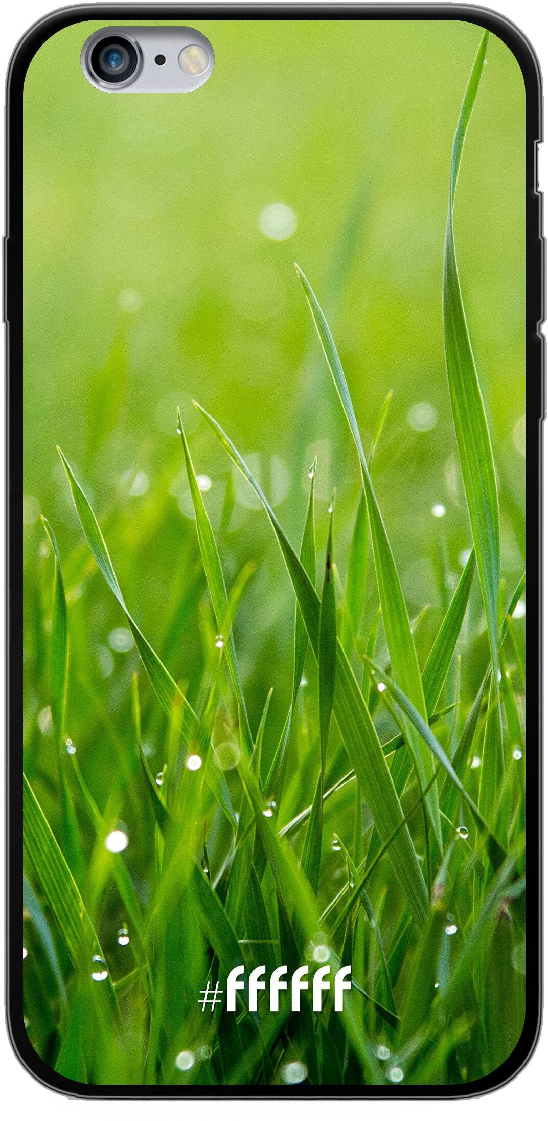 Morning Dew iPhone 6