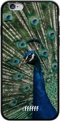 Peacock iPhone 6