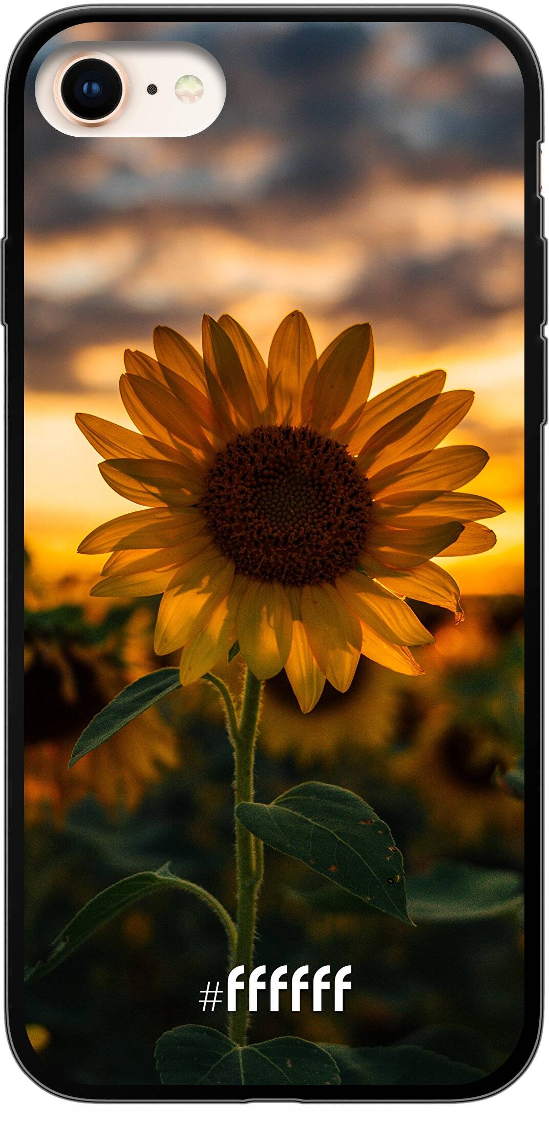 Sunset Sunflower iPhone 7