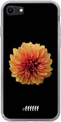 Butterscotch Blossom iPhone 8