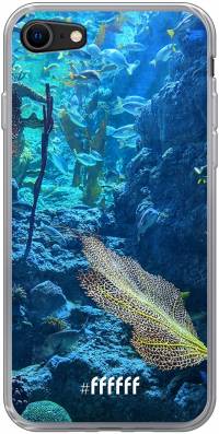 Coral Reef iPhone 8
