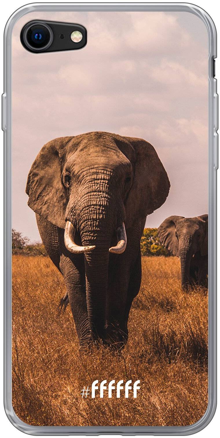 Elephants iPhone 8