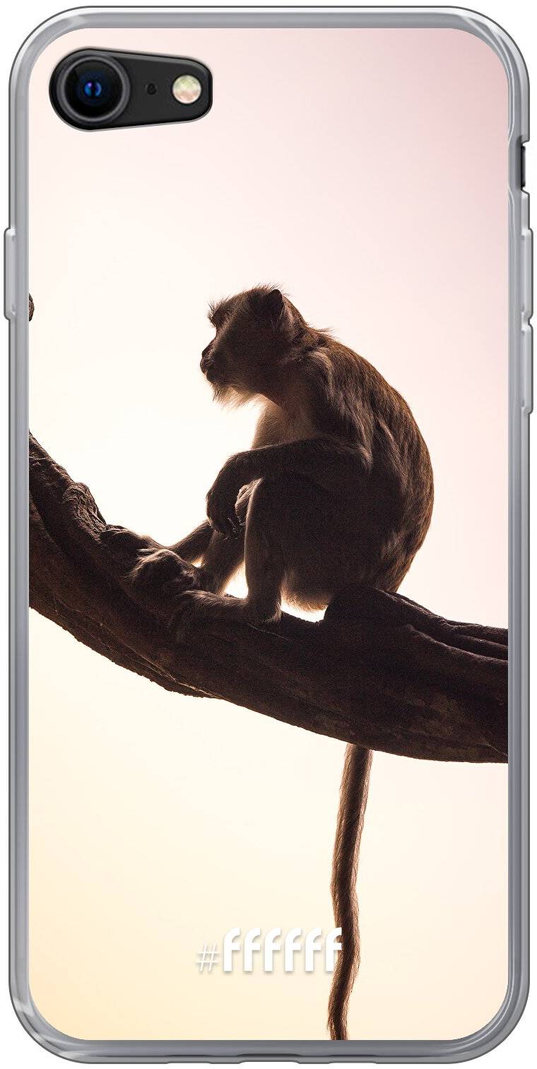 Macaque iPhone 8