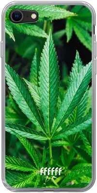 Mary Jane iPhone 8