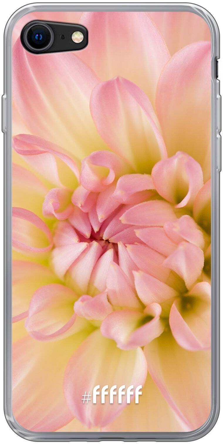 Pink Petals iPhone 8