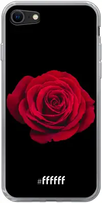 Radiant Rose iPhone 8