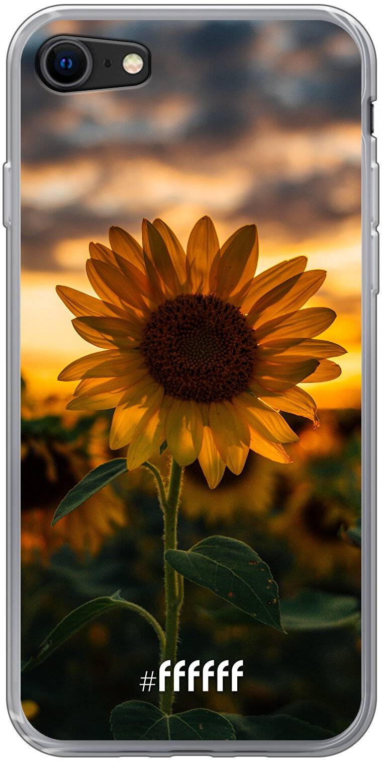 Sunset Sunflower iPhone 8