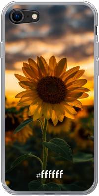 Sunset Sunflower iPhone 8