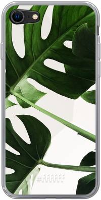 Tropical Plants iPhone 8