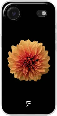 Butterscotch Blossom iPhone Air