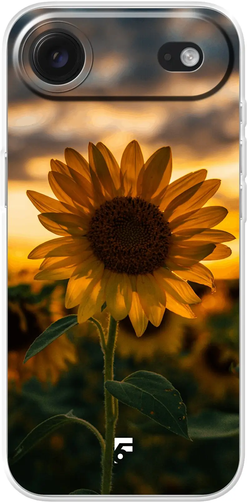 Sunset Sunflower iPhone Air