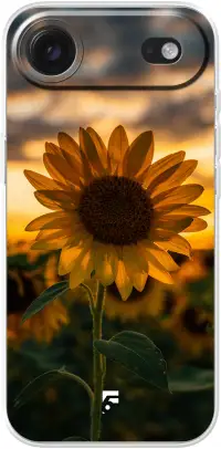 Sunset Sunflower iPhone Air