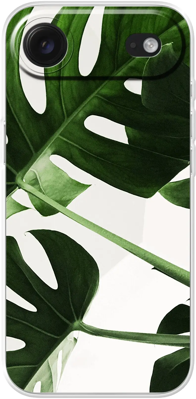 Tropical Plants iPhone Air