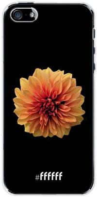 Butterscotch Blossom iPhone SE (2016)