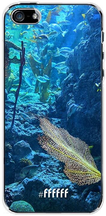 Coral Reef iPhone SE (2016)