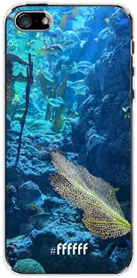 Coral Reef iPhone SE (2016)