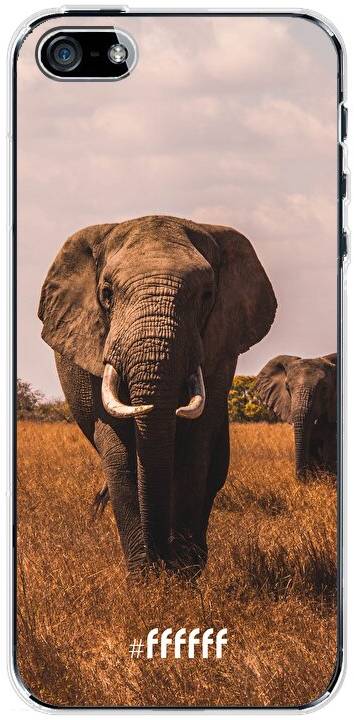 Elephants iPhone SE (2016)