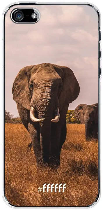 Elephants iPhone SE (2016)