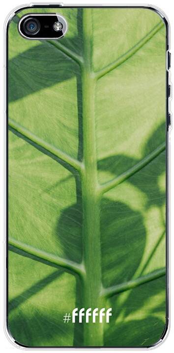 Leaves Macro iPhone SE (2016)
