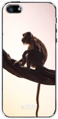 Macaque iPhone SE (2016)