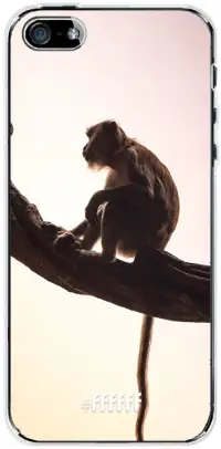 Macaque iPhone SE (2016)