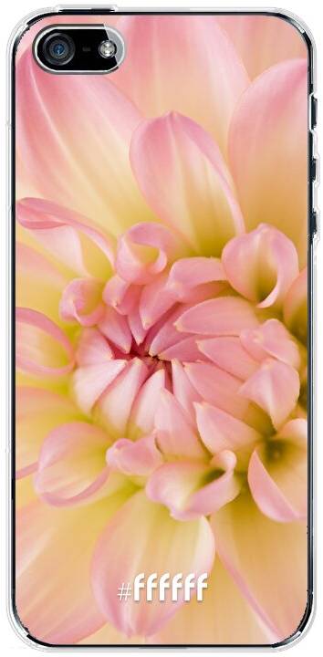 Pink Petals iPhone SE (2016)