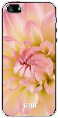 Pink Petals iPhone SE (2016)