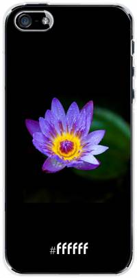Purple Flower in the Dark iPhone SE (2016)