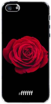 Radiant Rose iPhone SE (2016)