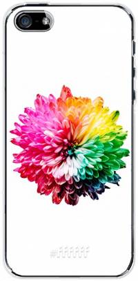 Rainbow Pompon iPhone SE (2016)
