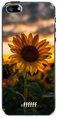 Sunset Sunflower iPhone SE (2016)