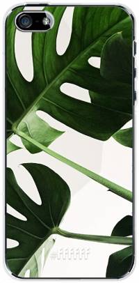Tropical Plants iPhone SE (2016)