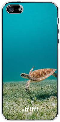 Turtle iPhone SE (2016)