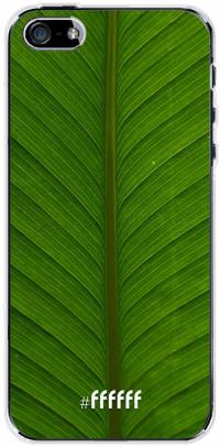 Unseen Green iPhone SE (2016)