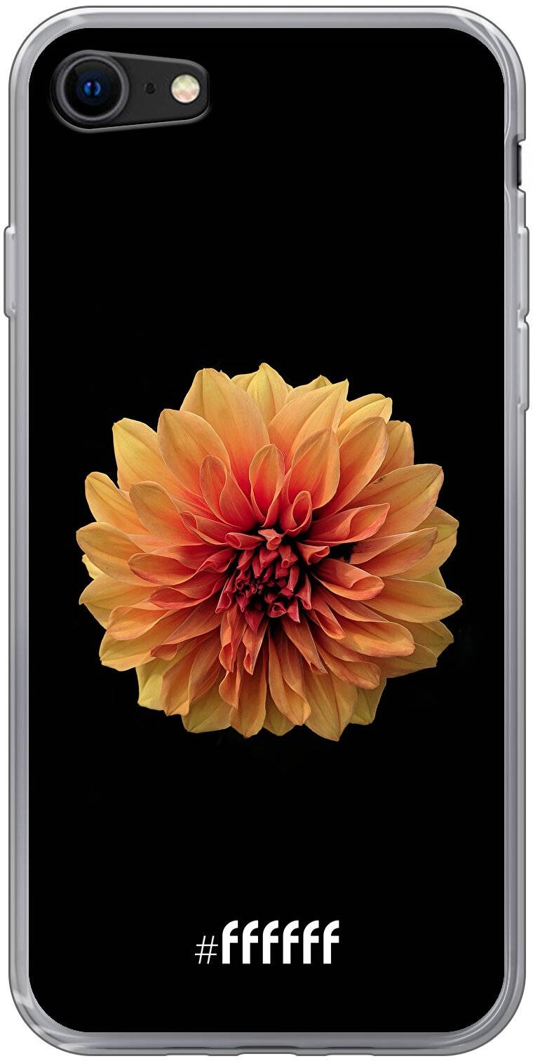 Butterscotch Blossom iPhone SE (2020)