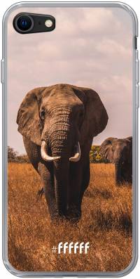 Elephants iPhone SE (2020)