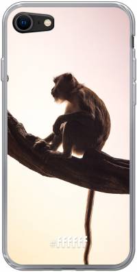 Macaque iPhone SE (2020)