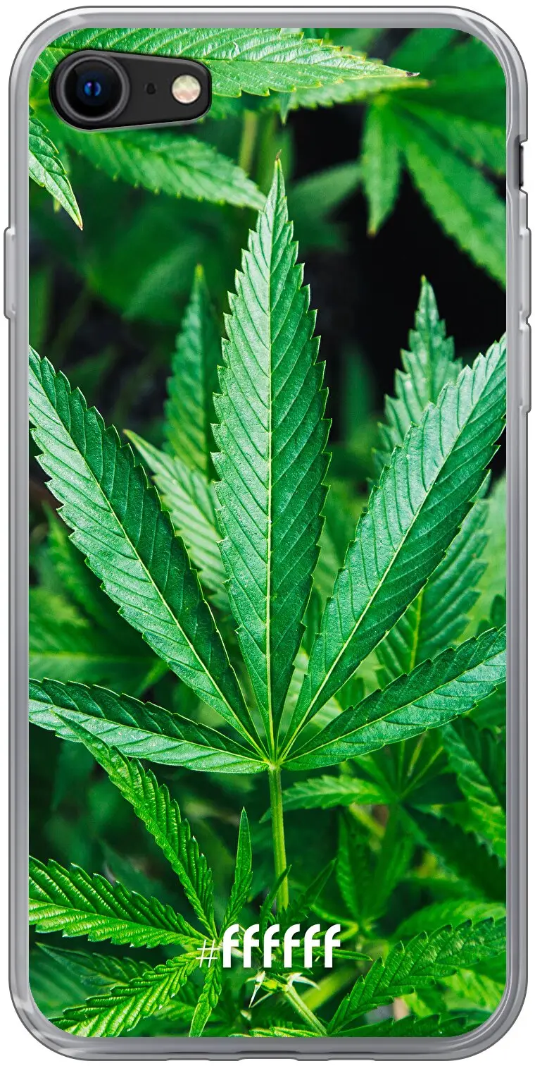 Mary Jane iPhone SE (2020)