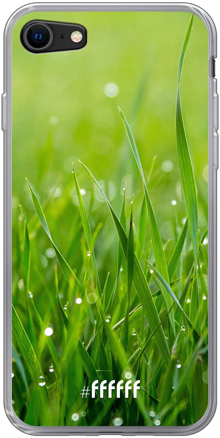 Morning Dew iPhone SE (2020)
