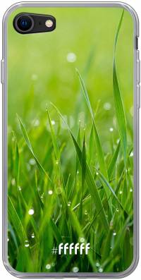 Morning Dew iPhone SE (2020)