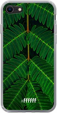Symmetric Plants iPhone SE (2020)