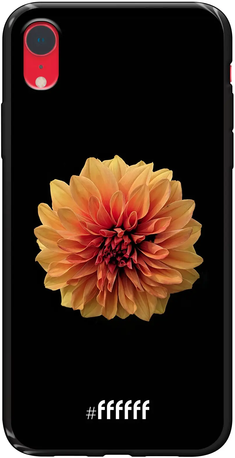 Butterscotch Blossom iPhone Xr