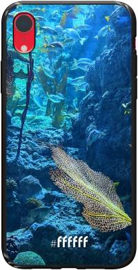 Coral Reef iPhone Xr