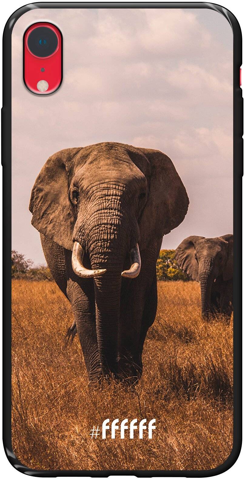 Elephants iPhone Xr