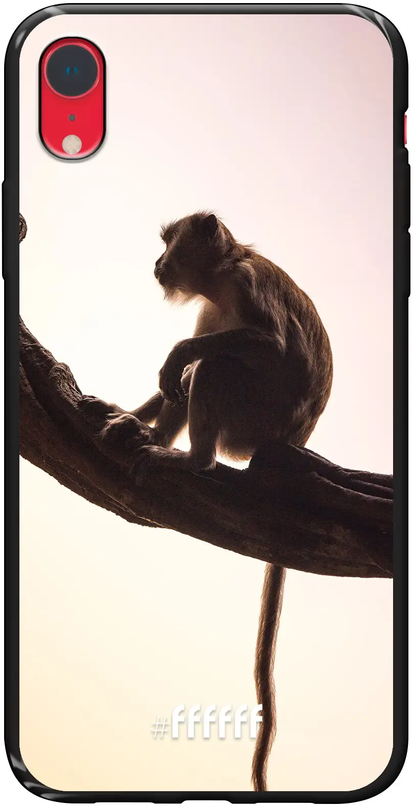 Macaque iPhone Xr