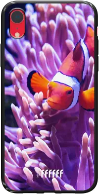 Nemo iPhone Xr