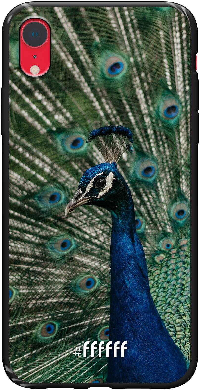 Peacock iPhone Xr