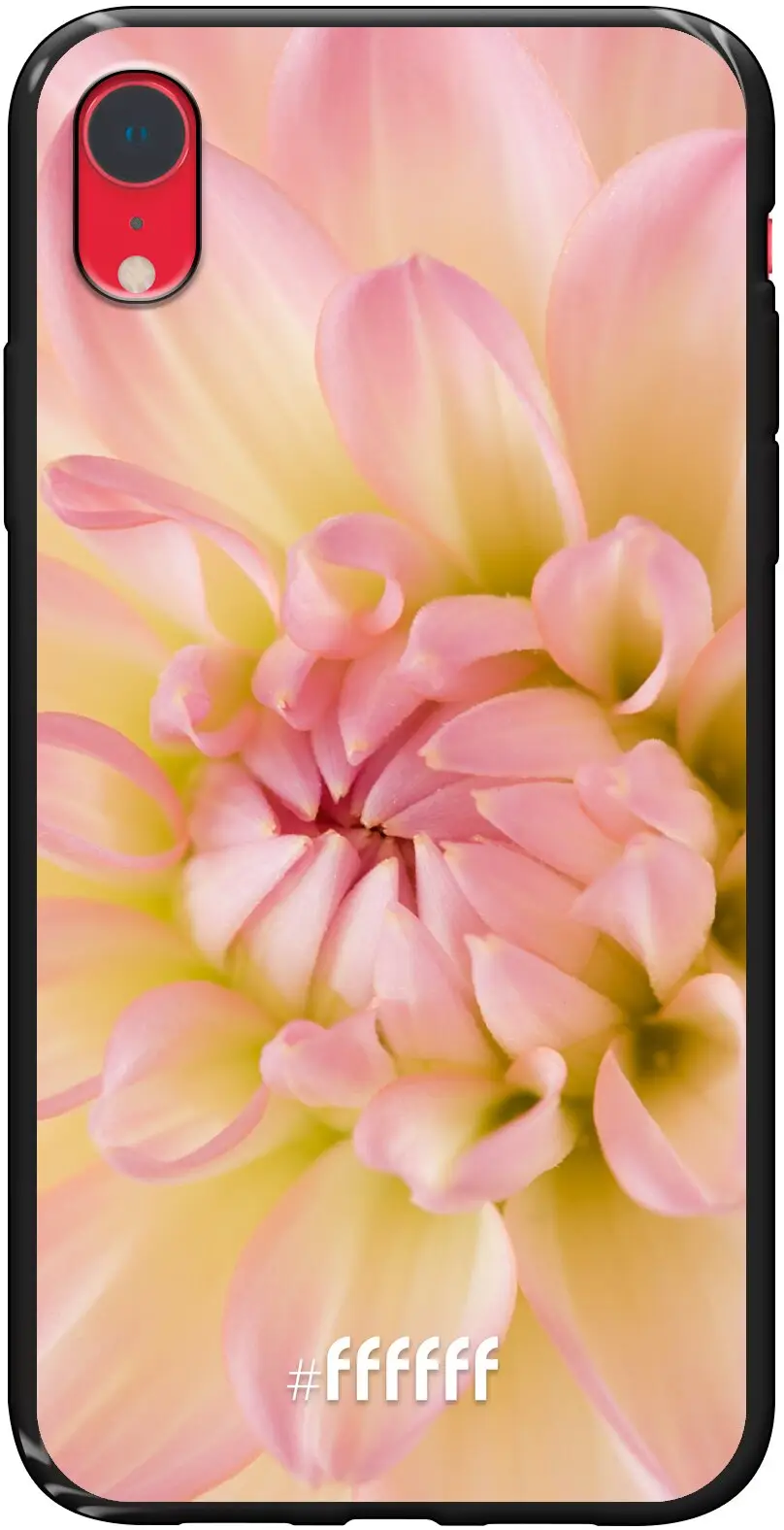 Pink Petals iPhone Xr